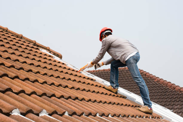 Best Roofing for New Construction  in Long Beach, WA